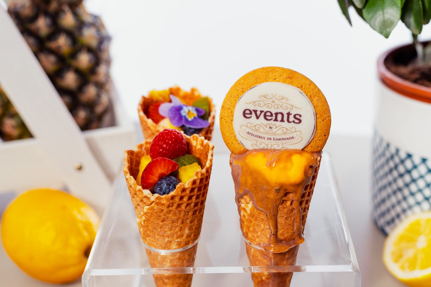 Conuri artizanale cu gelato și fructe, servite elegant la un ice cream bar pentru evenimente private sau corporate.