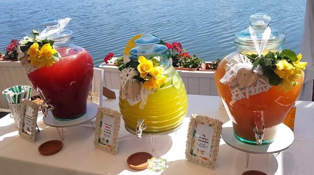 Stand de limonadă cu trei sortimente – fructe roșii, lămâie cu lime și citrice tropicale – amplasat pe o terasă decorată cu flori, lângă un lac.