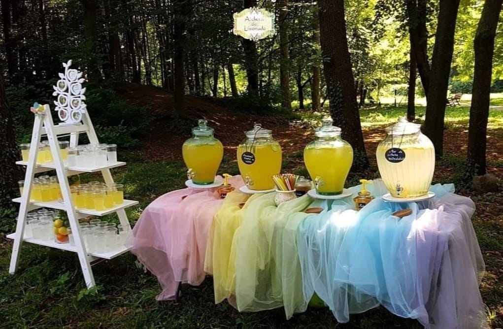 Stand de limonadă amplasat în pădure, cu patru sortimente servite în recipiente mari și decor pastel curcubeu, alături de o etajeră cu pahare pregătite.