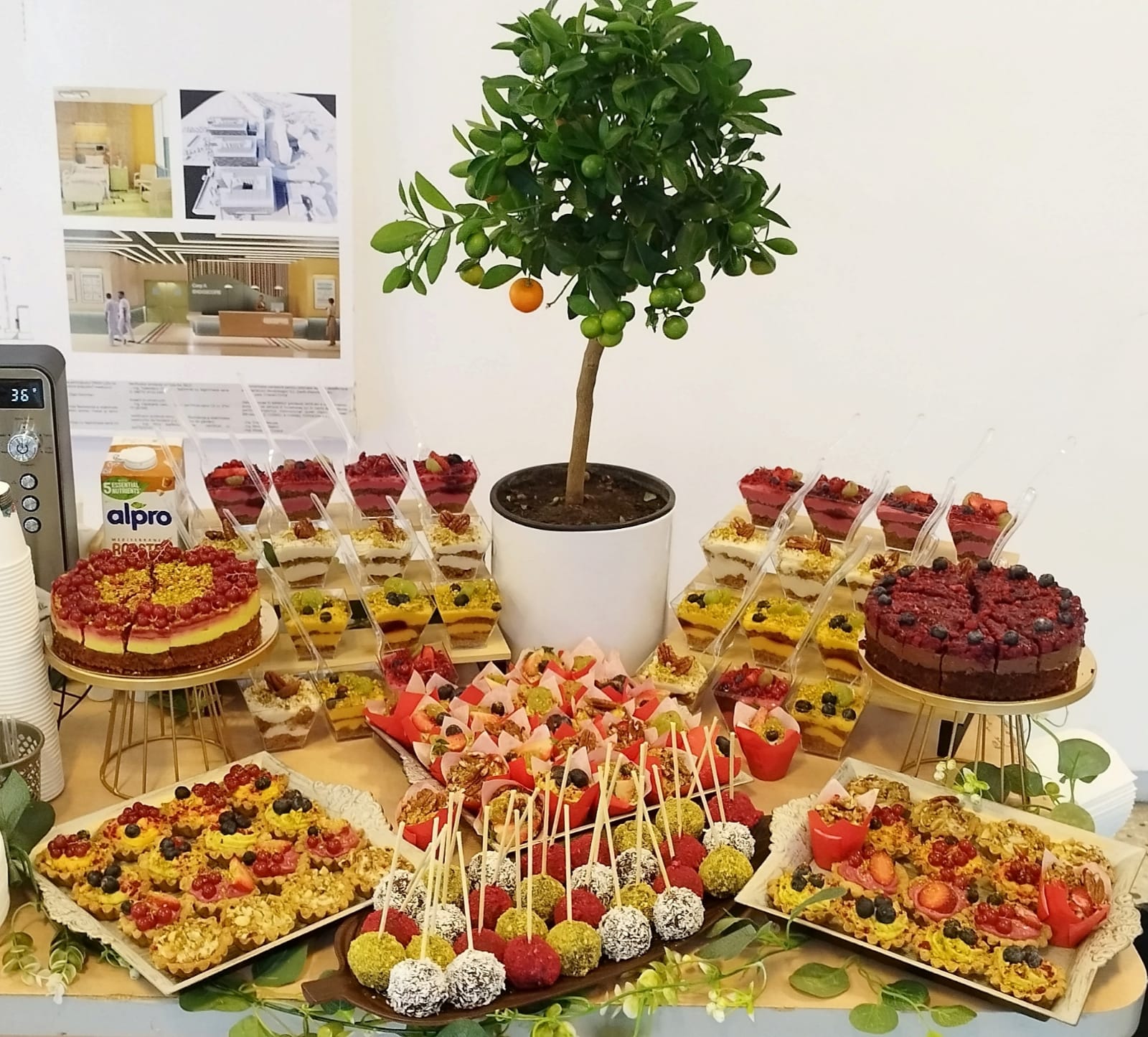 Setup complet de candy bar vegan pentru evenimente, incluzând torturi artizanale, trufe raw-vegane și mini deserturi, decorat central cu un pomișor de citrice. By Atelieru de limonada.