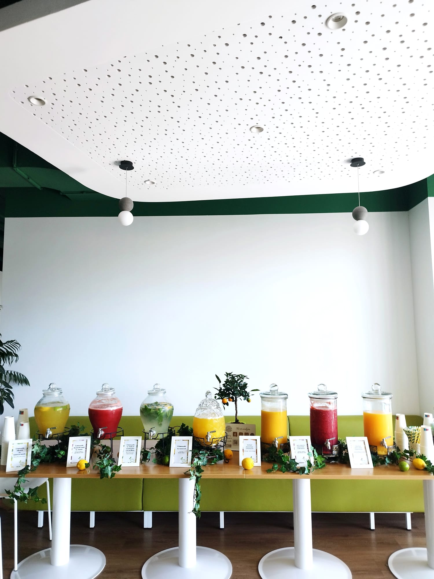 Aranjament elegant cu bar de smoothie pentru petreceri private sau evenimente corporate. Băuturi răcoritoare naturale servite din dispensere de sticlă. | Atelierul de Limonadă
